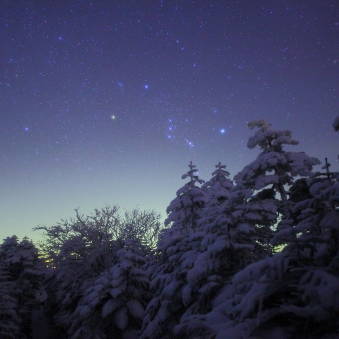 樹氷の杜のOrion