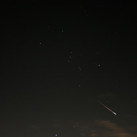 オリオン群流星091021