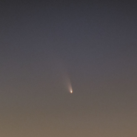 「パンスターズ彗星」