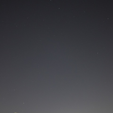 しぶんぎ群からのお年玉