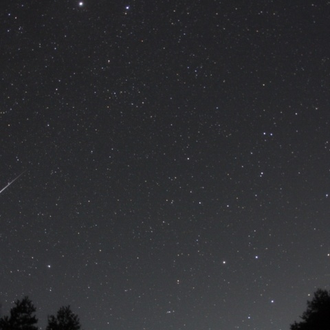 ふたご群の火球