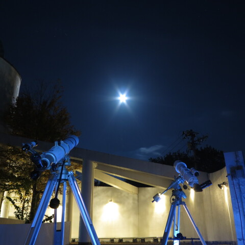 月がとっても青いから～　♪♪