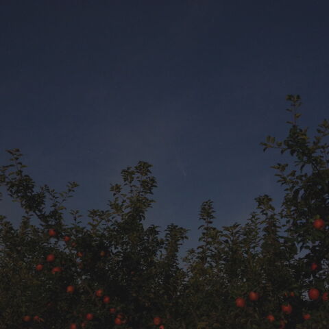 空と地上からの贈り物    (C/2023 A3 紫金山・アトラス彗星)