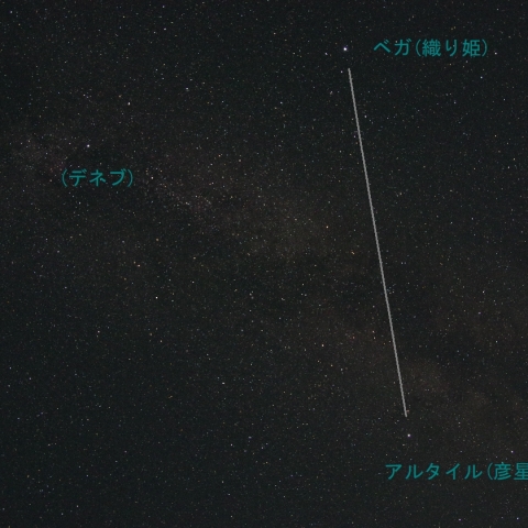 七夕　織り姫　彦星　