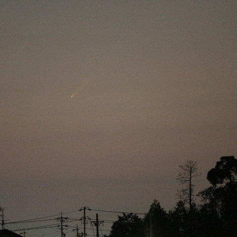 紫金山・アトラス彗星