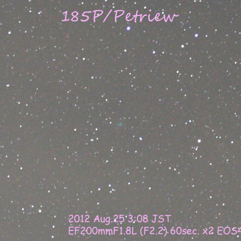 185P/Petriew 彗星
