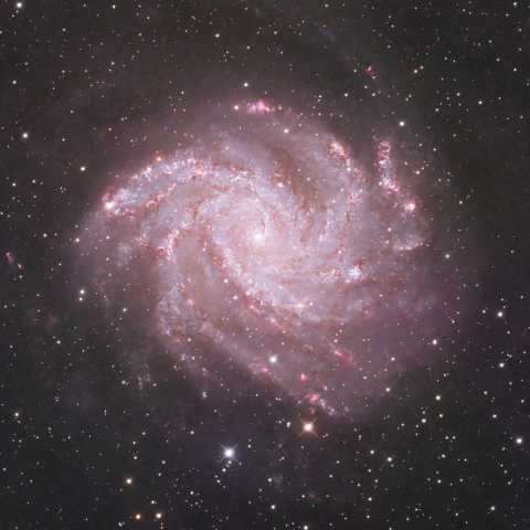 NGC6946