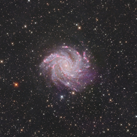 NGC6946