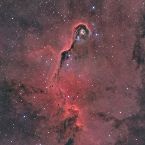 VDB142 象の鼻星雲