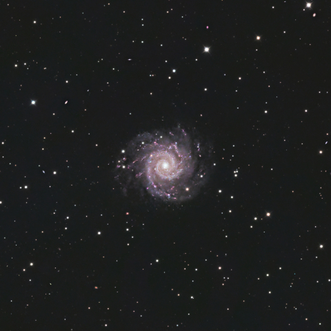 M74