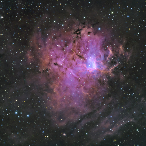 NGC1491　Sh2-206