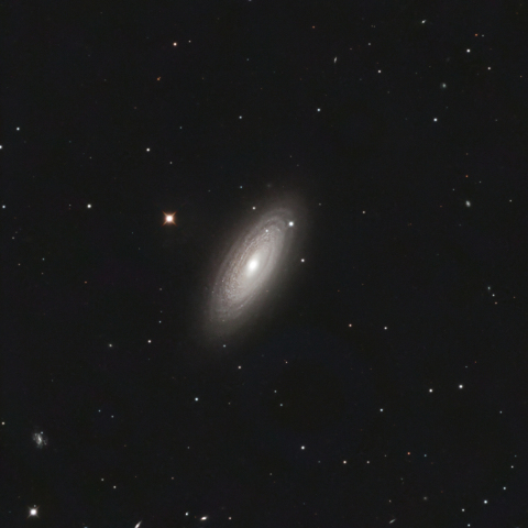 NGC2841 おおぐま座