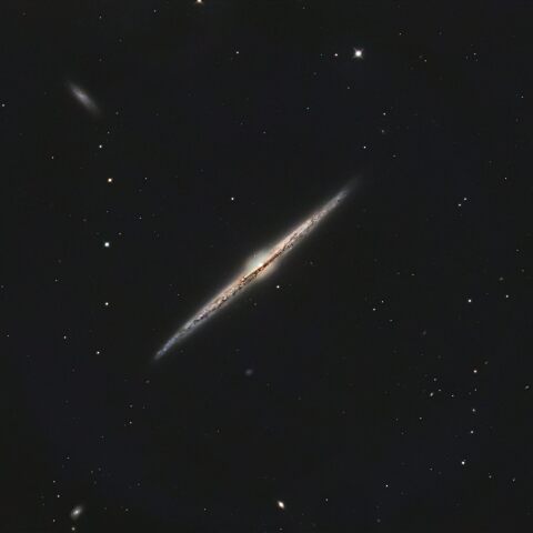 NGC4565