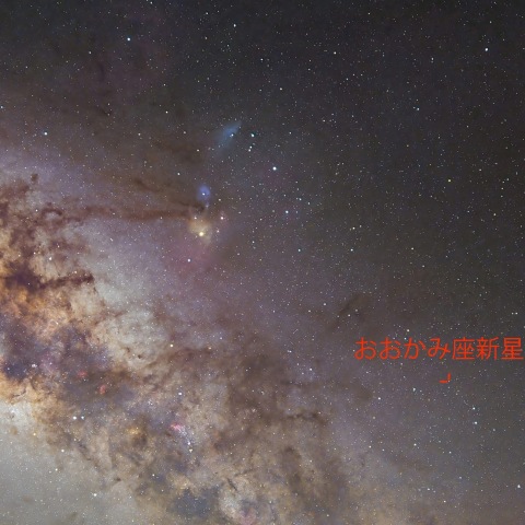 新星・超新星・突発天体 - 天体写真ギャラリー