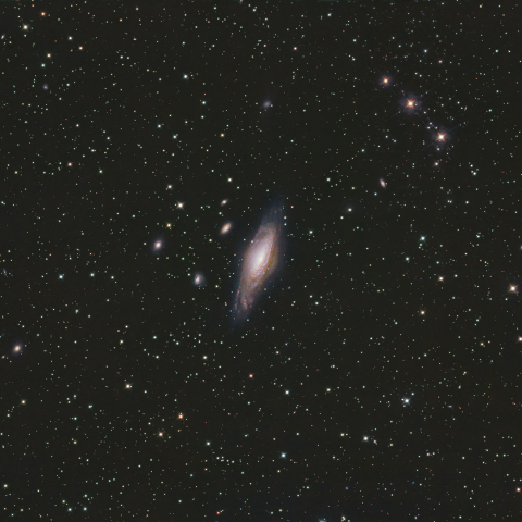 NGC7331