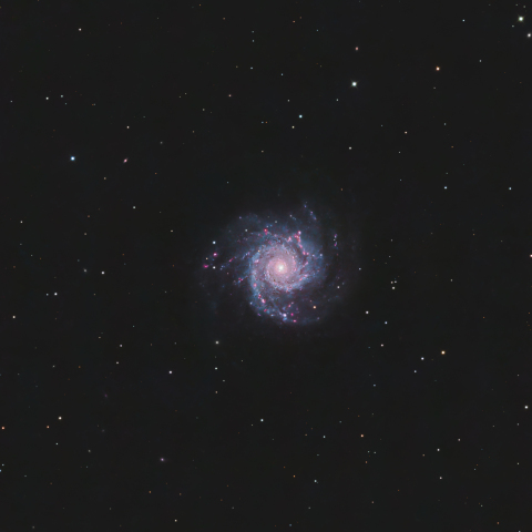 M74