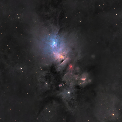 NGC1333