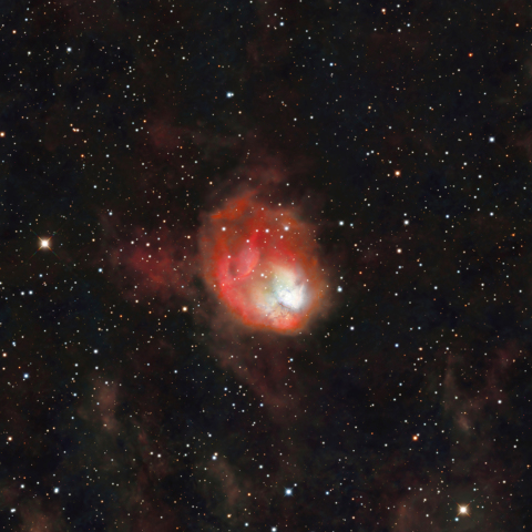 NGC1931　ハエ星雲