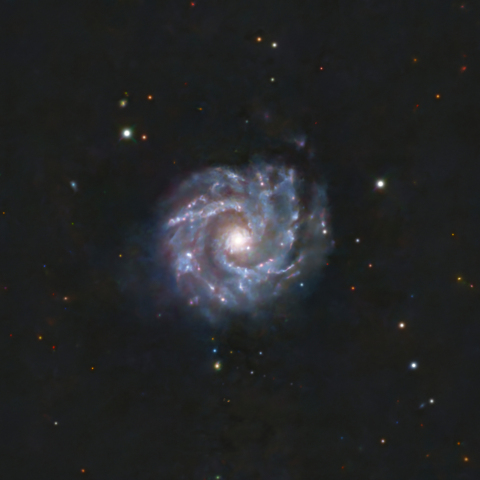 NGC3631　　渦巻銀河　