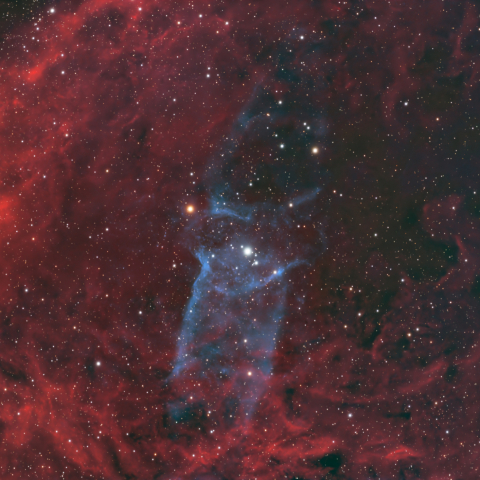 Sh2-129　ダイオウイカ星雲