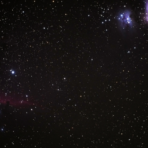 馬頭星雲とM42