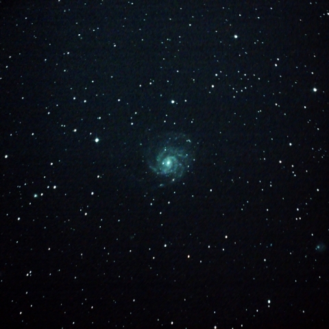 M101