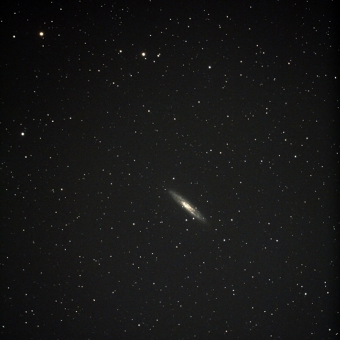 NGC253とNGC288