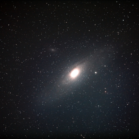 M31