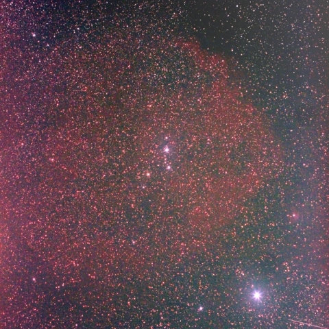 エンゼルフィッシュ星雲