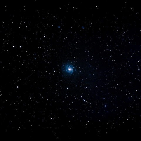 M101