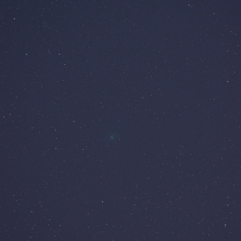 231114のレモン彗星