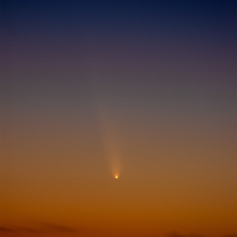 241012の紫金山アトラス彗星