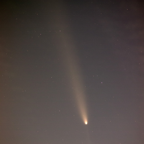 241016の紫金山アトラス彗星