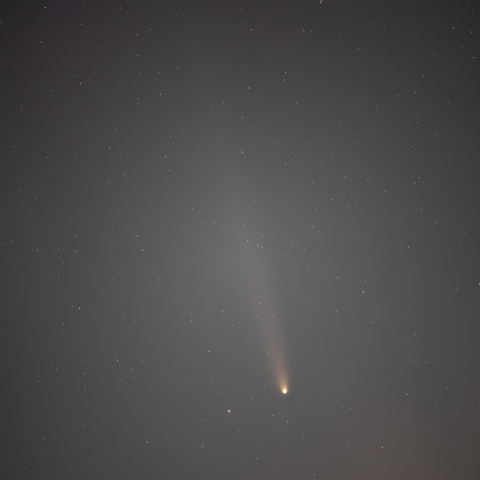 241020の紫金山アトラス彗星