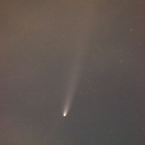 241023の紫金山アトラス彗星