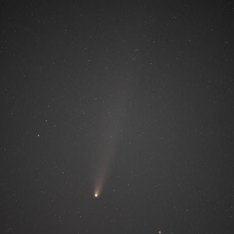 241026の紫金山アトラス彗星