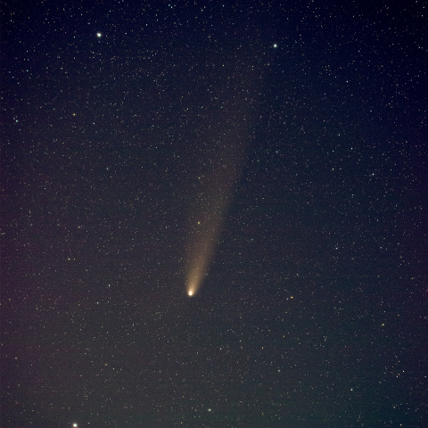 241030の紫金山アトラス彗星