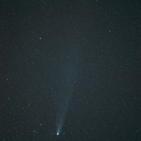 241103の紫金山アトラス彗星