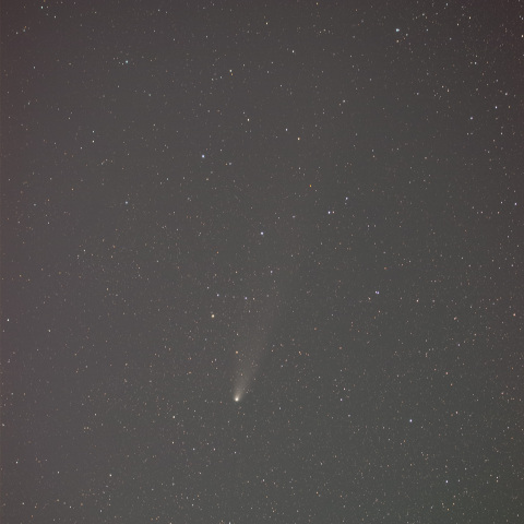 241108の紫金山アトラス彗星