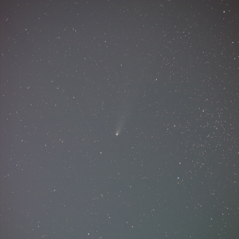 241113の紫金山アトラス彗星