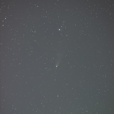 241120の紫金山アトラス彗星