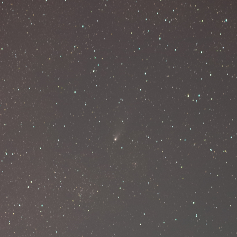 241202の紫金山アトラス彗星