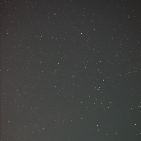 241204の紫金山アトラス彗星