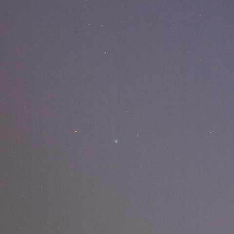 251001のSWAN彗星 (C/2025 R2)