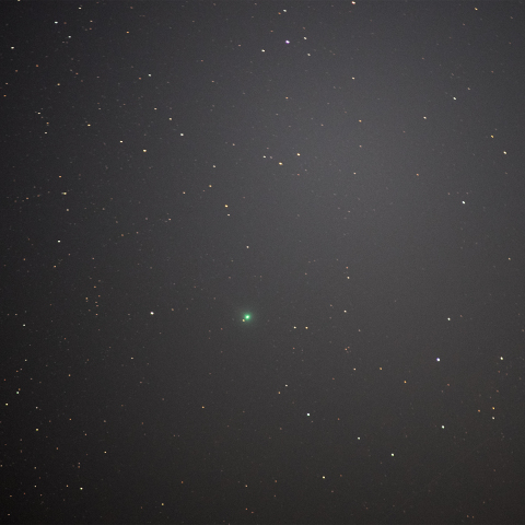 251013のSWAN彗星 (C/2025 R2)