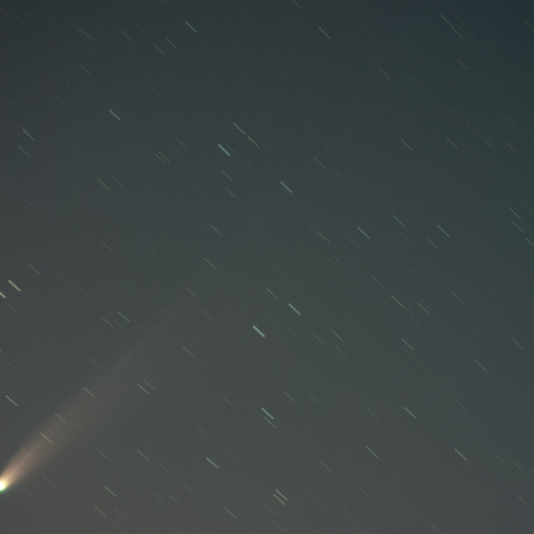 251029のLemmon彗星 (C/2025 A6)