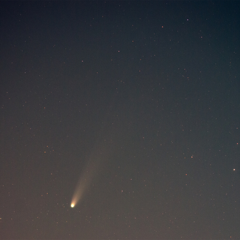 251107のLemmon彗星 (C/2025 A6)