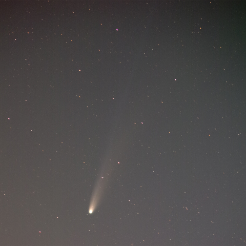 251111のLemmon彗星 (C/2025 A6)