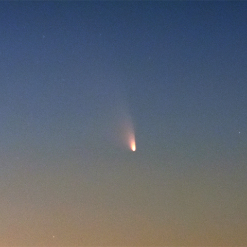 PENTAX Qによるパンスターズ彗星