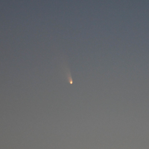 初めてのパンスターズ彗星です